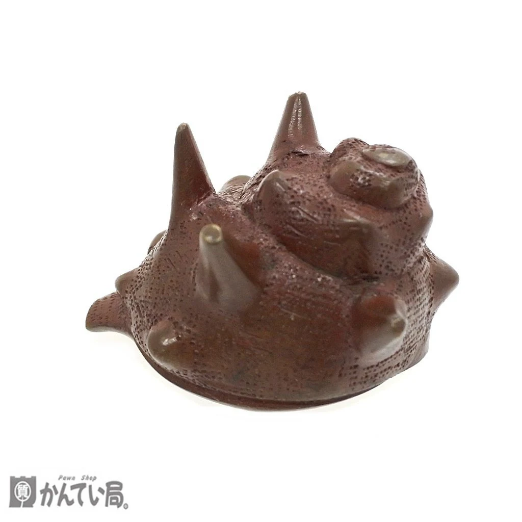荣螺盖置的侧面角度,展示尖刺细节